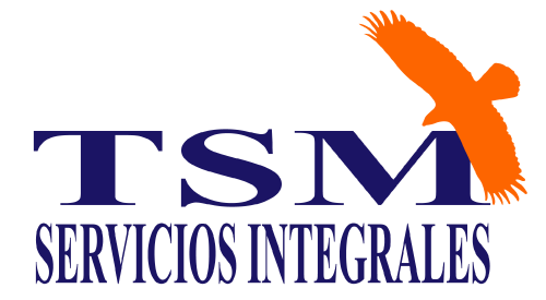 SERVICIOS INTEGRALES TSM