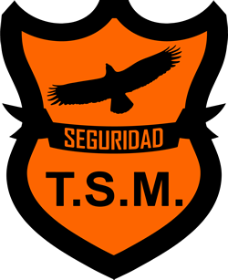 TSM SEGURIDAD